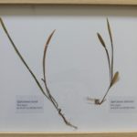 P1090543